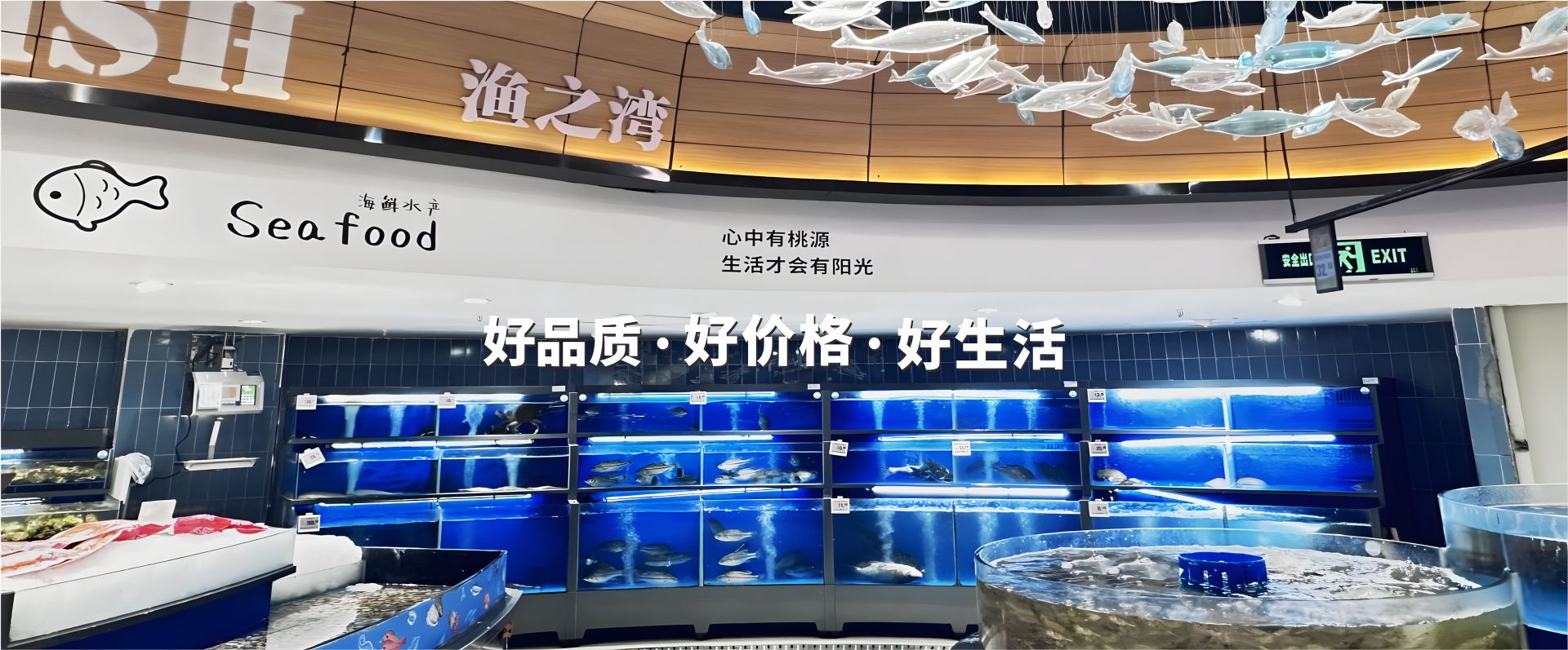 首页
